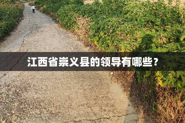 江西省崇义县的领导有哪些？
