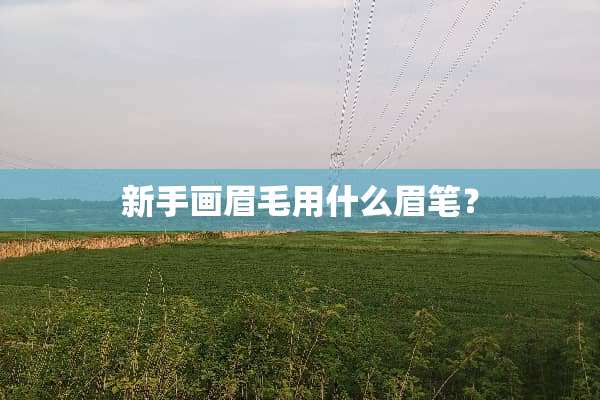 新手画眉毛用什么眉笔？