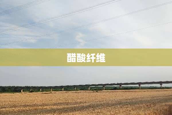 醋酸纤维