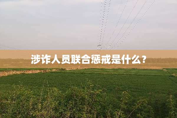 涉诈人员联合惩戒是什么？