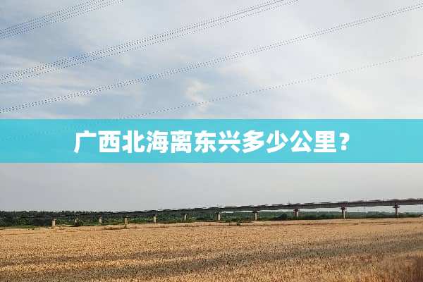 广西北海离东兴多少公里？
