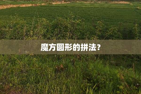 魔方圆形的拼法？