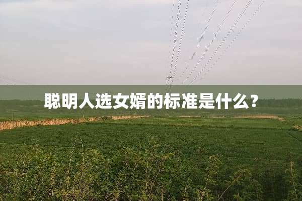 聪明人选女婿的标准是什么？