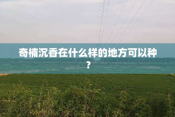 奇楠沉香在什么样的地方可以种？