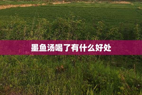 墨鱼汤喝了有什么好处