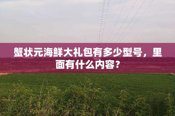蟹状元海鲜大礼包有多少型号，里面有什么内容？