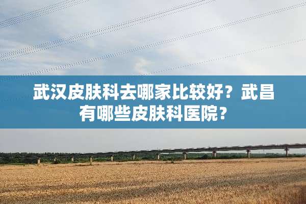 武汉皮肤科去哪家比较好？武昌有哪些皮肤科医院？