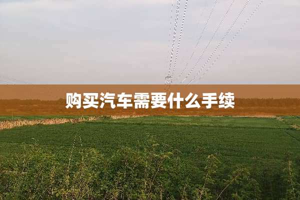 购买汽车需要什么手续