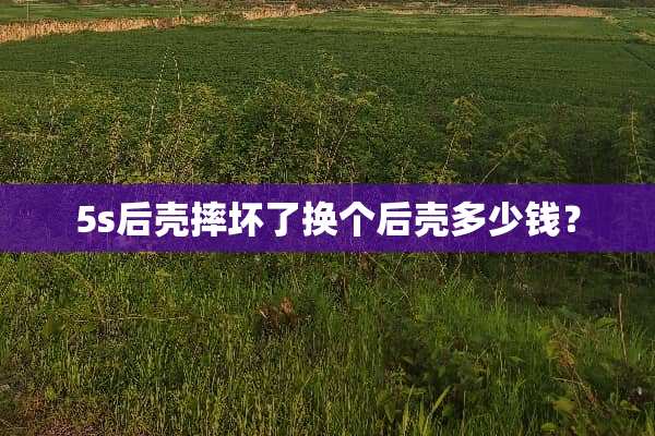 5s后壳摔坏了换个后壳多少钱？