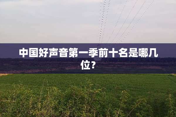 中国好声音第一季前十名是哪几位？