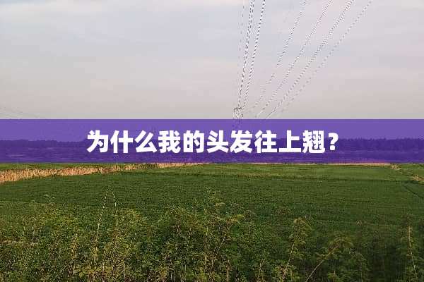 为什么我的头发往上翘？