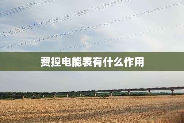 费控电能表有什么作用