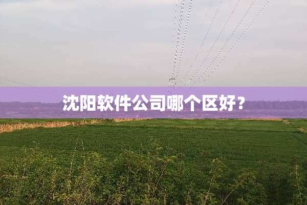 沈阳软件公司哪个区好？