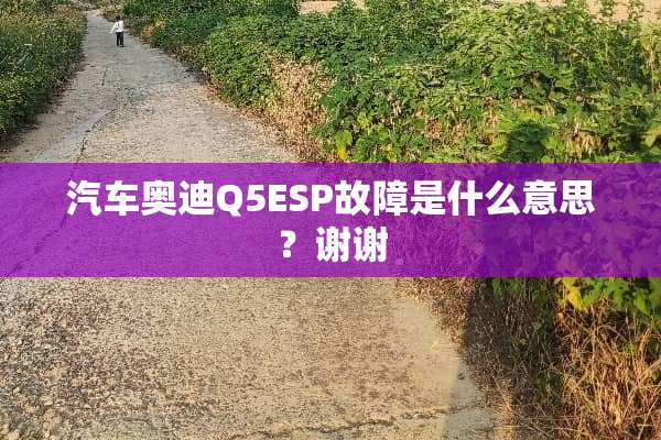 汽车奥迪Q5ESP故障是什么意思？谢谢