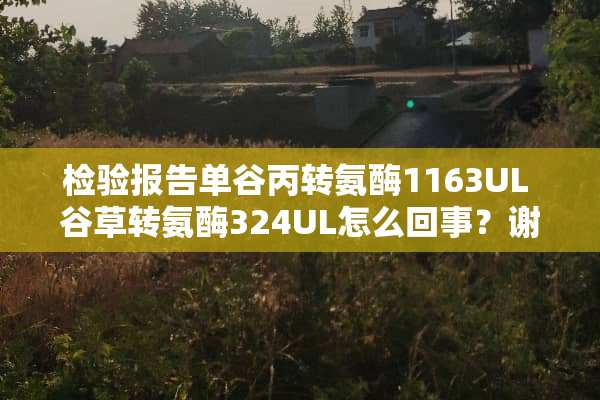 检验报告单谷丙转氨酶1163UL 谷草转氨酶324UL怎么回事？谢谢