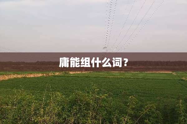 庸能组什么词？