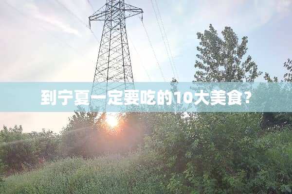 到宁夏一定要吃的10大美食？