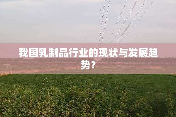 我国*制品行业的现状与发展趋势？