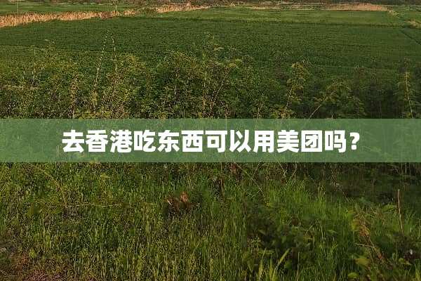 去香港吃东西可以用美团吗？
