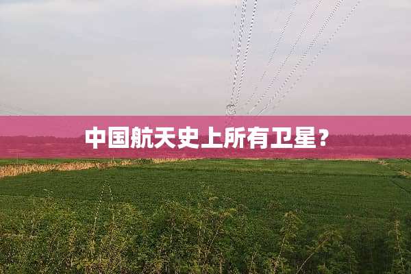 中国航天史上所有卫星？