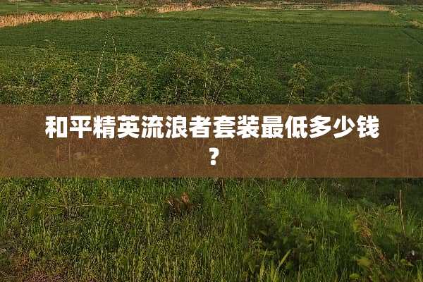 和平精英流浪者套装最低多少钱？