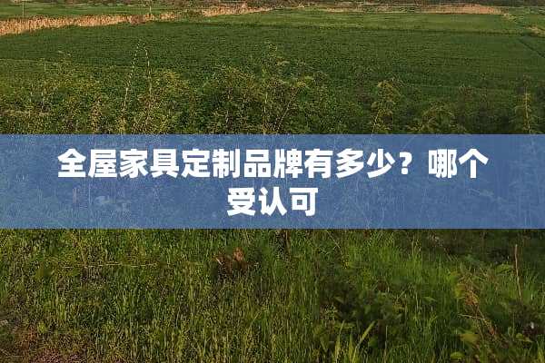 全屋家具定制品牌有多少？哪个受认可