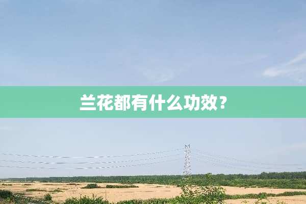 兰花都有什么功效？