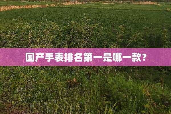 国产手表排名第一是哪一款？