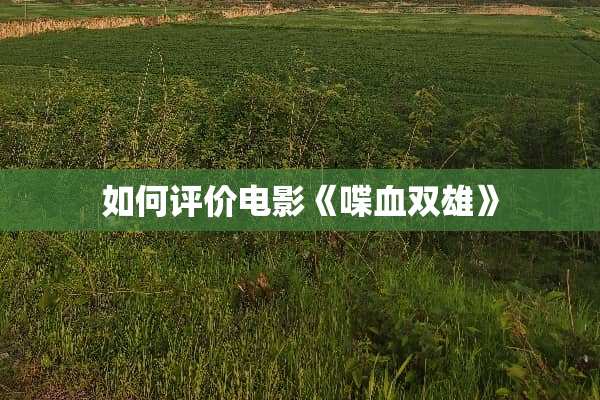 如何评价电影《喋血双雄》