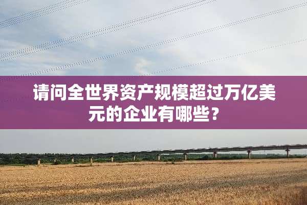 请问全世界资产规模超过万亿美元的企业有哪些？