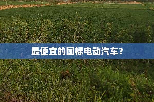 最便宜的国标电动汽车？