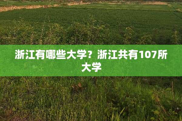浙江有哪些大学？浙江共有107所大学