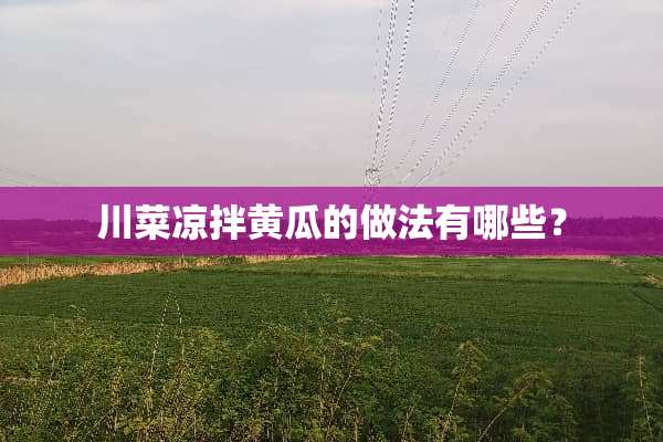 川菜凉拌黄瓜的做法有哪些？