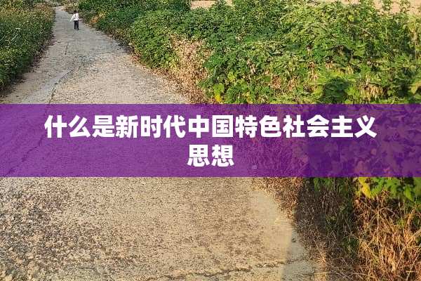 什么是新时代中国特色社会**思想