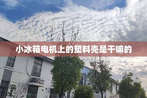 小冰箱电机上的塑料壳是干嘛的