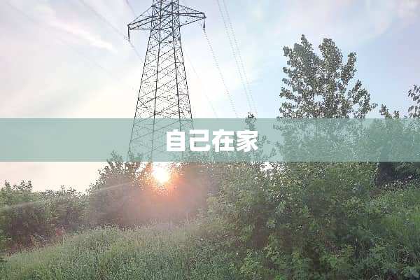 自己在家