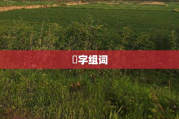 匌字组词