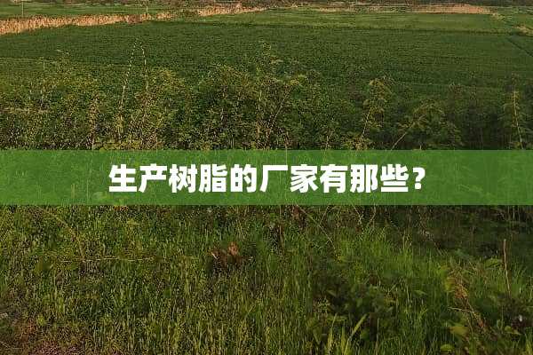 生产树脂的厂家有那些？