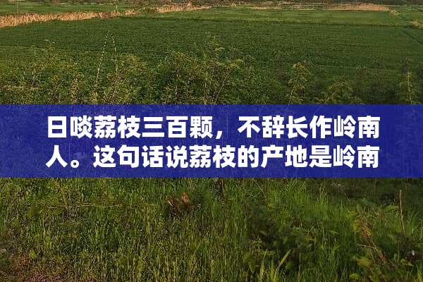 日啖荔枝三百颗，不辞长作岭南人。这句话说荔枝的产地是岭南，岭是哪个岭呢？