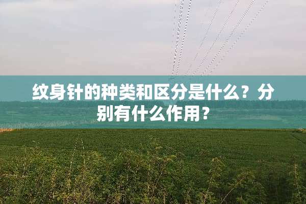 纹身针的种类和区分是什么？分别有什么作用？