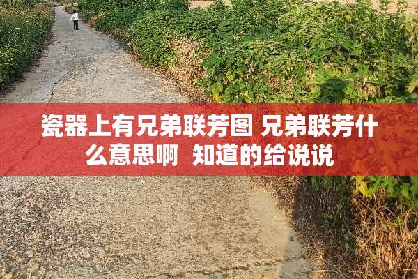 瓷器上有兄弟联芳图 兄弟联芳什么意思啊  知道的给说说