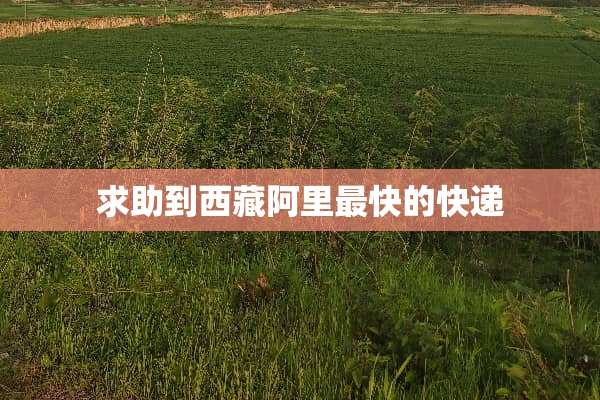 求助到西藏阿里最快的快递