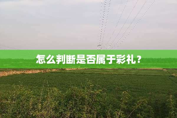 怎么判断是否属于彩礼？