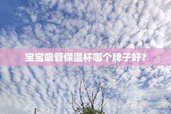 宝宝吸管保温杯哪个牌子好？