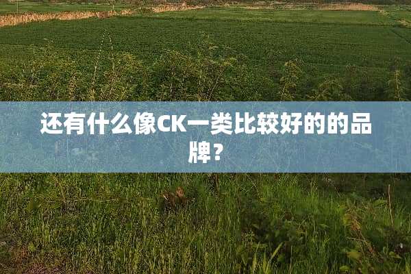 还有什么像CK一类比较好的的品牌？