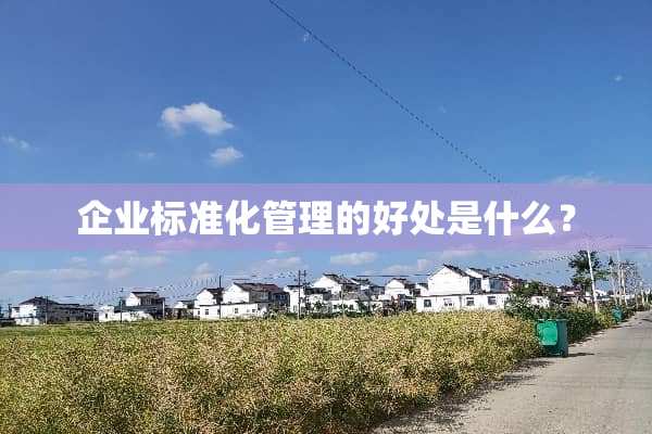 企业标准化管理的好处是什么？