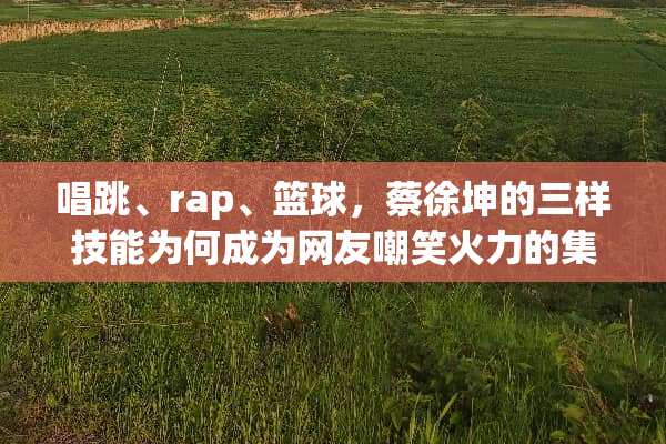 唱跳、rap、篮球，蔡徐坤的三样技能为何成为网友嘲笑火力的集中点？