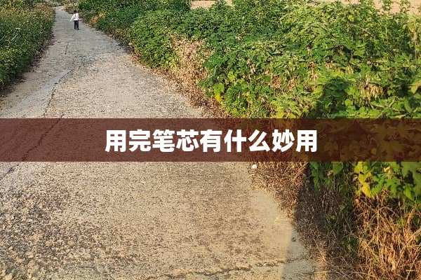 用完笔芯有什么妙用