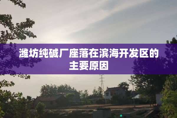 潍坊纯碱厂座落在滨海开发区的主要原因