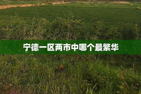 宁德一区两市中哪个最繁华